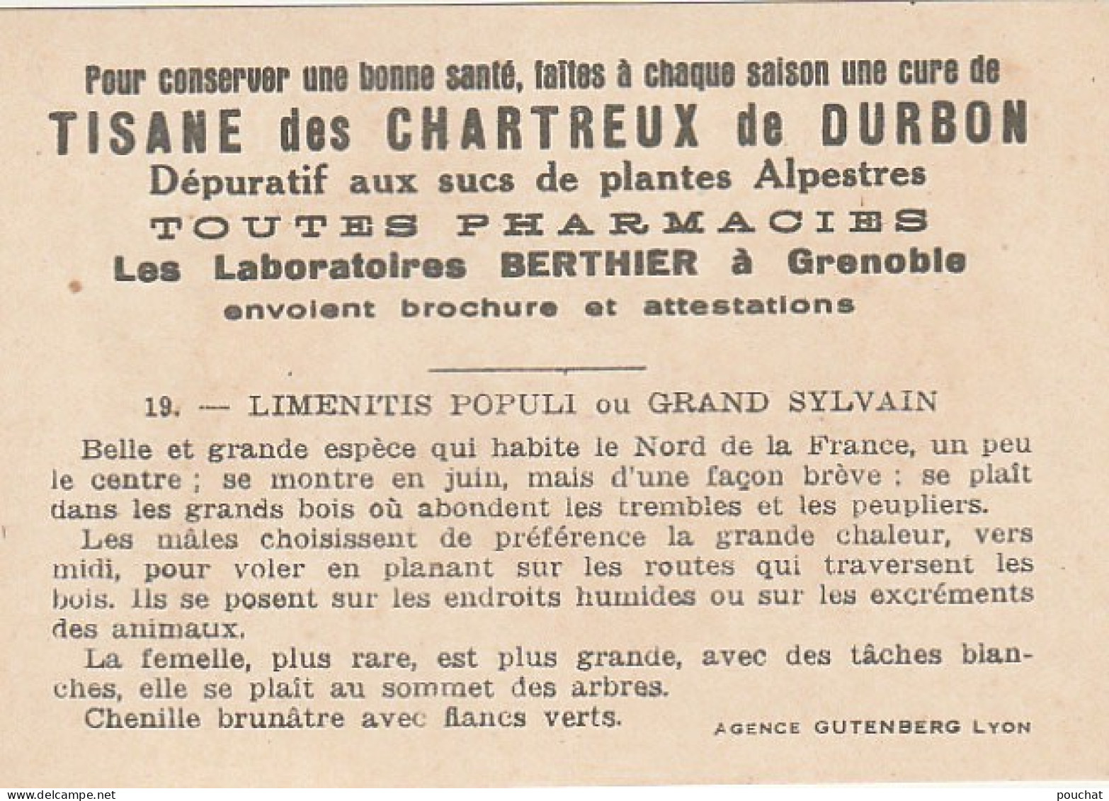 UR 24- " LIMENITIS POPULI OU GRAND SYLVAIN " ( PAPILLON ET CHENILLE ) - PUB TISANE DES CHARTREUX DE DURBON  - Sonstige & Ohne Zuordnung