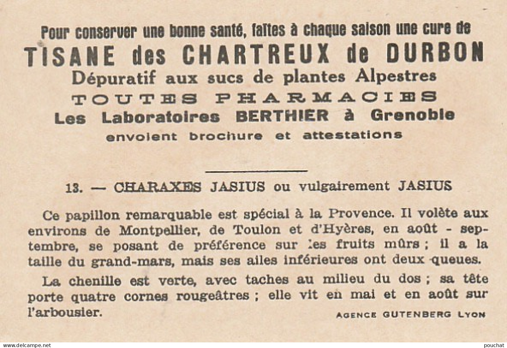 UR 24- " CHARAXES JASIUS  " ( PAPILLON ET CHENILLE ) - PUB TISANE DES CHARTREUX DE DURBON - LAB. BERTHIER , GRENOBLE  - Sonstige & Ohne Zuordnung
