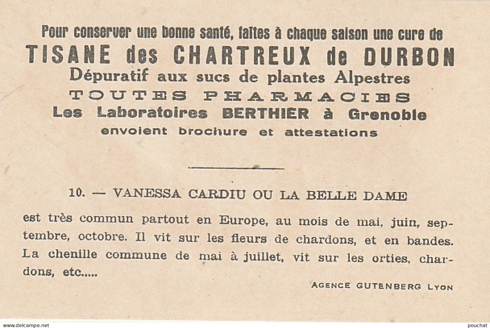 UR 24- " VANESSA CARDIU OU LA BELLE DAME " ( PAPILLON ET CHENILLE ) - PUB TISANE DES CHARTREUX DE DURBON - - Other & Unclassified