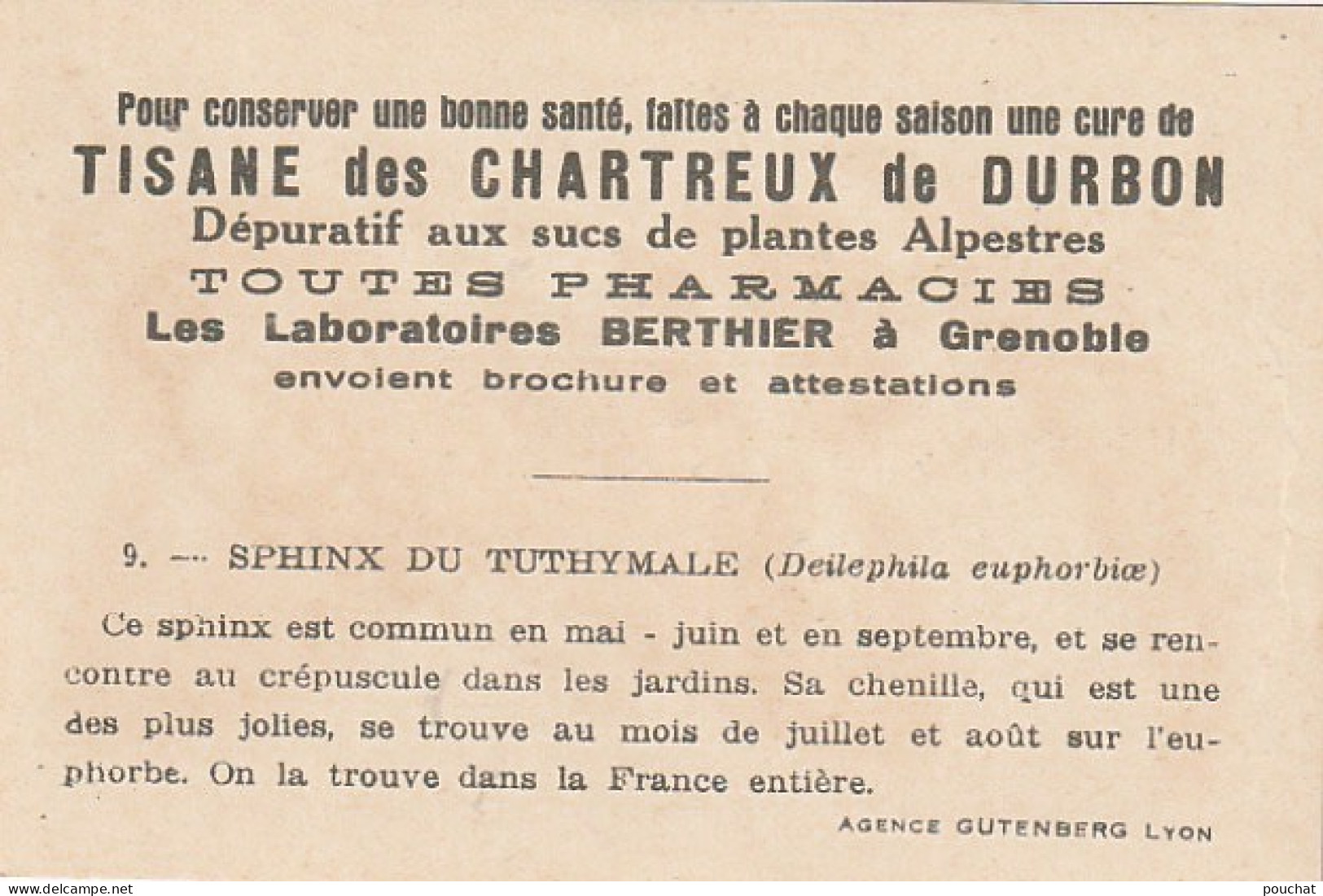 UR 24- " SPHINX DU TUTHYMALE " ( PAPILLON ET CHENILLE ) - PUB TISANE DES CHARTREUX DE DURBON - LAB . BERTHIER , GRENOBLE - Other & Unclassified