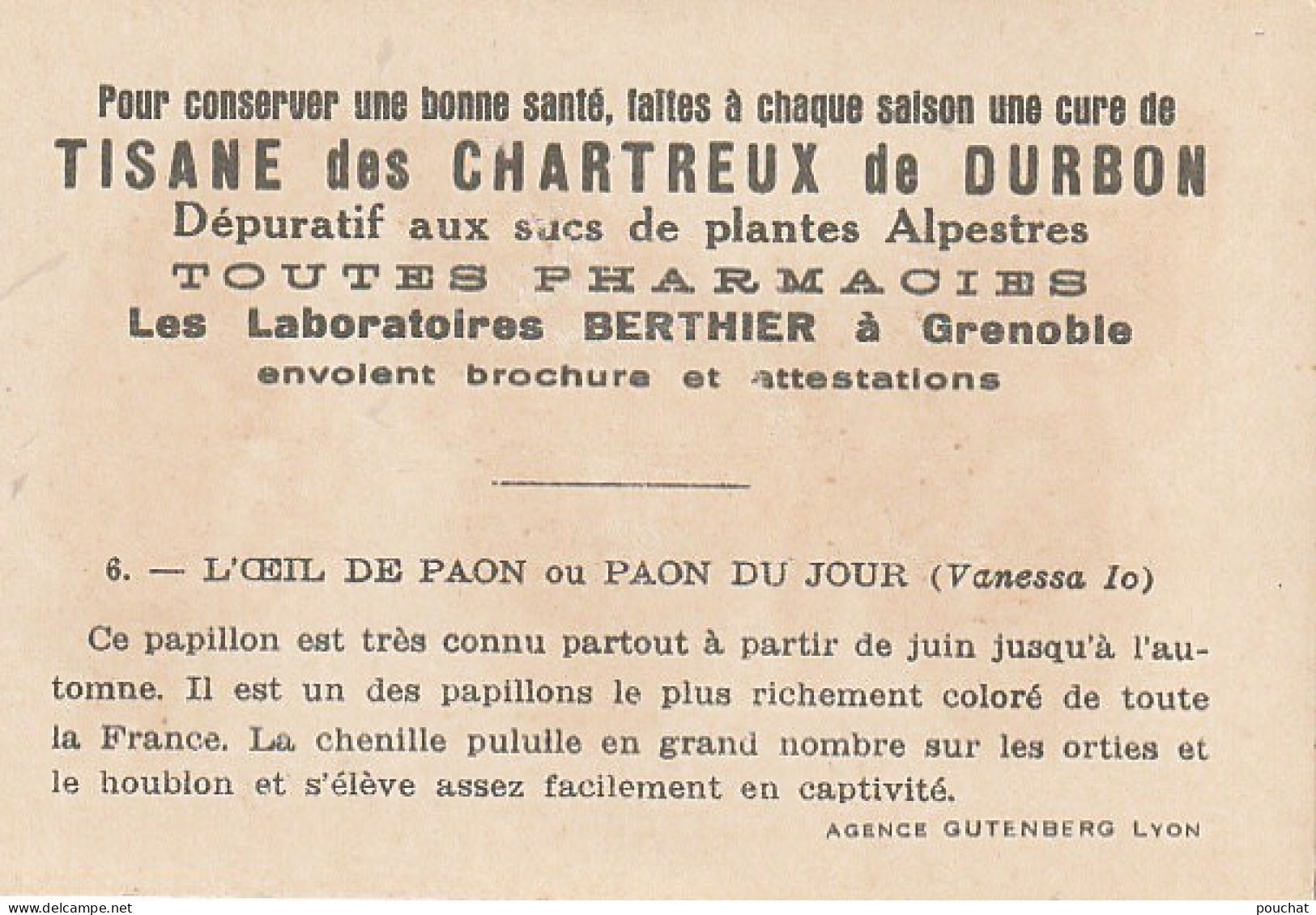 UR 24- " L' OEIL DE PAON OU PAON DU JOUR  " ( PAPILLON ET CHENILLE ) - PUB TISANE DES CHARTREUX DE DURBON  - Other & Unclassified