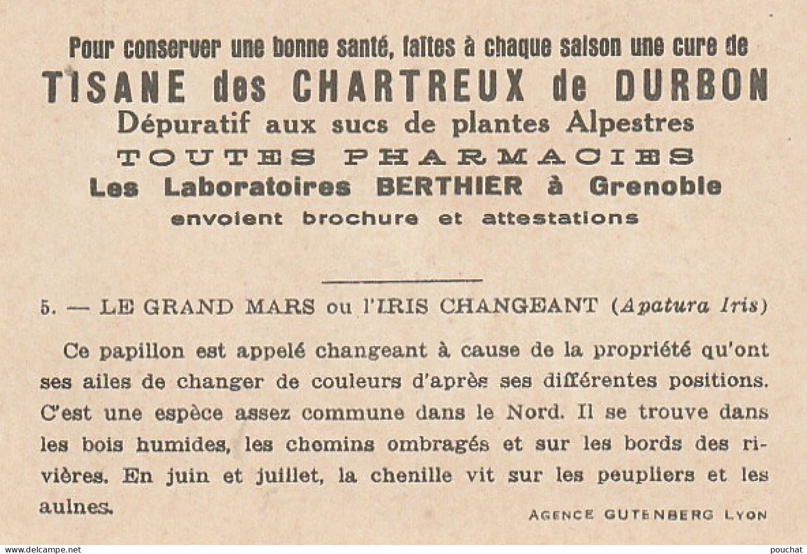 UR 24- " LE GRAND MARS OU L' IRIS CHANGEANT " ( PAPILLON ET CHENILLE ) - PUB TISANE DES CHARTREUX DE DURBON  - Other & Unclassified