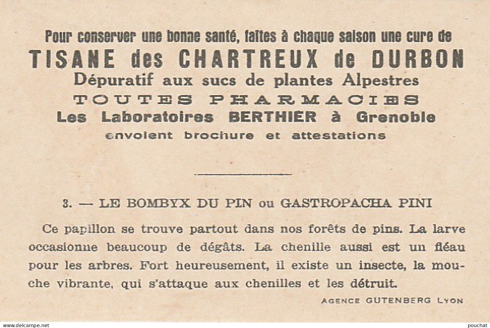 UR 24- " LE BOMBYX DU PIN OU GASTROPACHA PINI " ( PAPILLON ET CHENILLE ) - PUB TISANE DES CHARTREUX DE DURBON  - Sonstige & Ohne Zuordnung