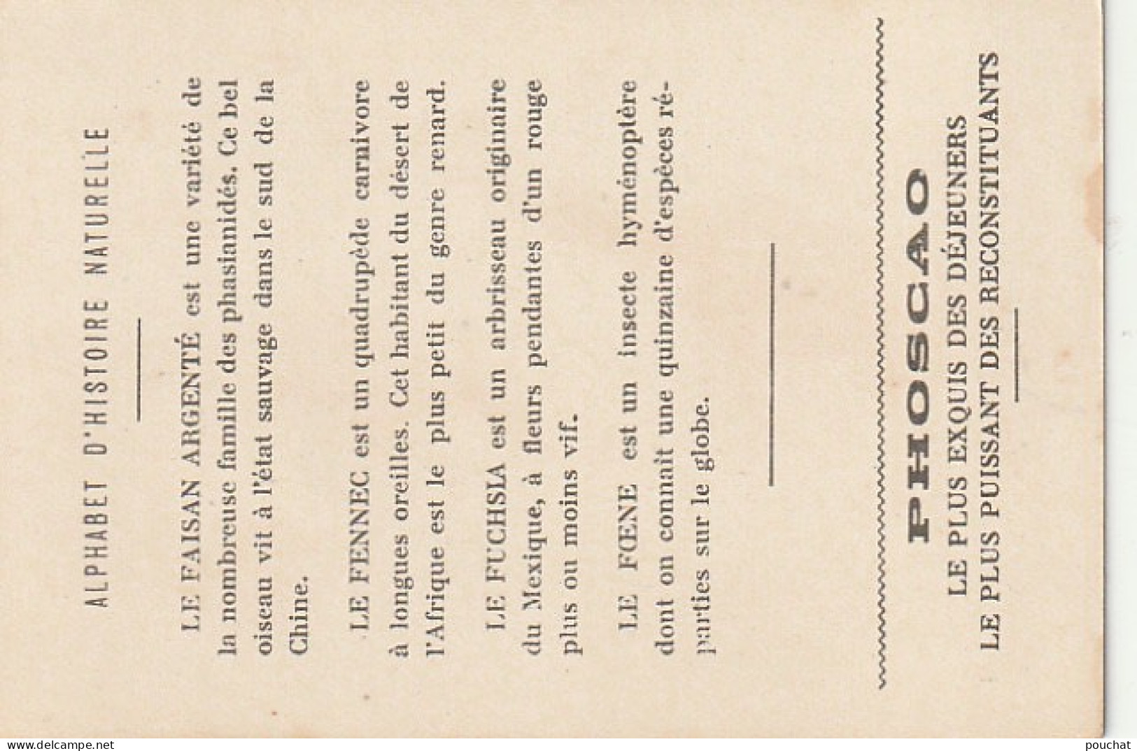 UR 25-(F) ALPHABET HISTOIRE NATURELLE - ANIMAUX : FAISAN ARGENTE , FENNEC , FOENE - PLANTE : FUCHSIA - PUB  PHOSCAO - Autres & Non Classés