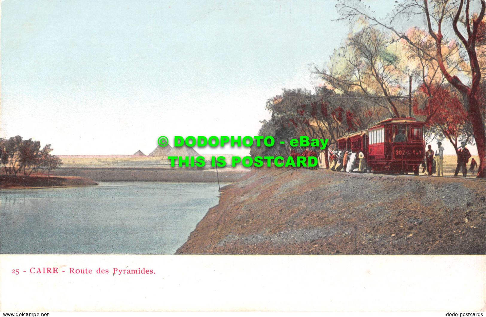 R551263 Caire. Route Des Pyramides. Postcard - Welt