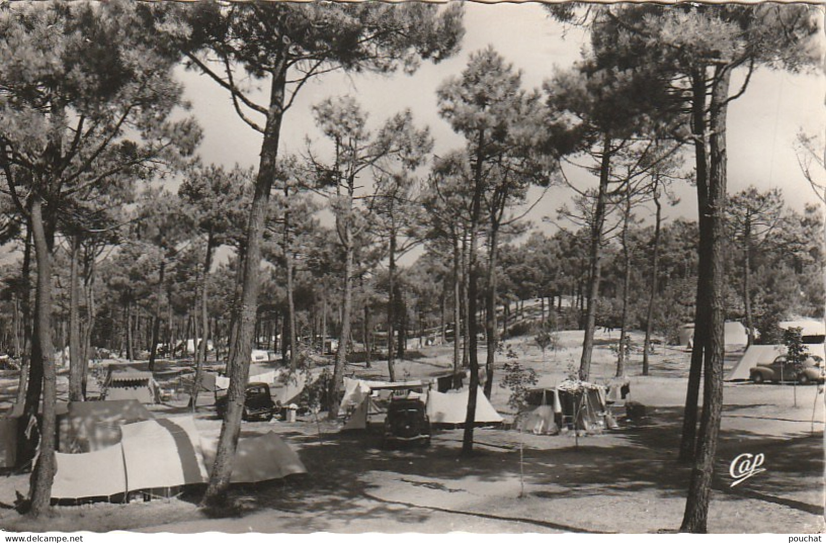 VE 4-(85) FROMENTINE - LE CAMPING SOUS LES PINS - AUTOMOBILES , TENTES - 2 SCANS - Other & Unclassified