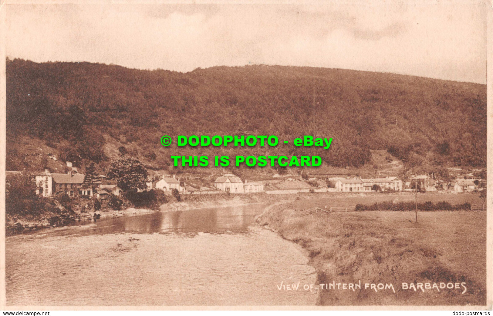 R551301 View Of Tintern From Barbadoes. Postcard - Welt