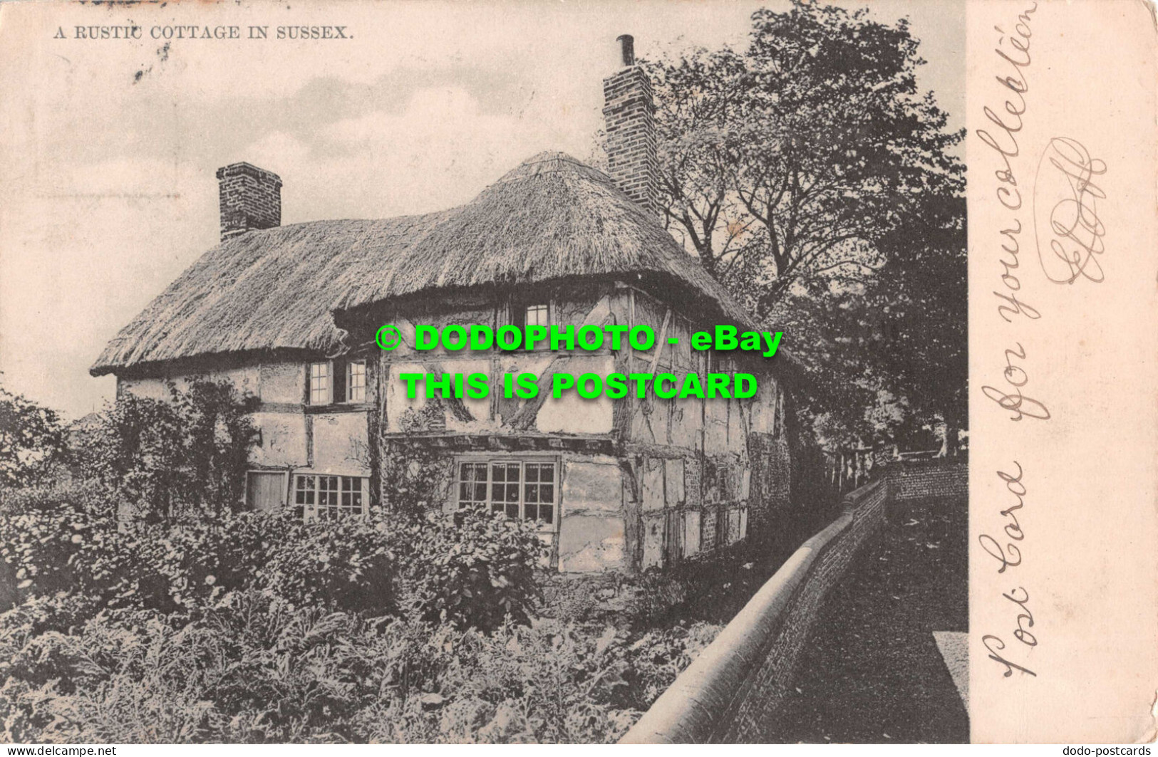 R551308 A Rustic Cottage In Sussex. Tuck. Rural England. No. 3667 - Welt