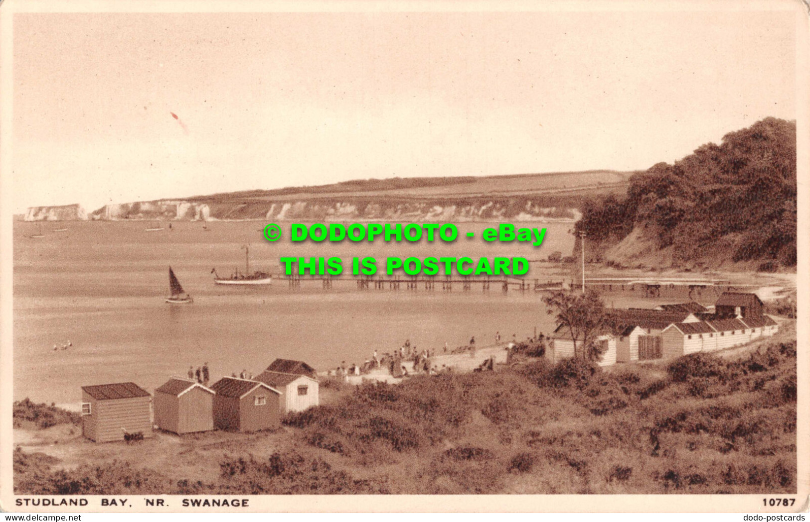 R551314 Studland Bay Nr. Swanage. J. Salmon. 1949 - Welt