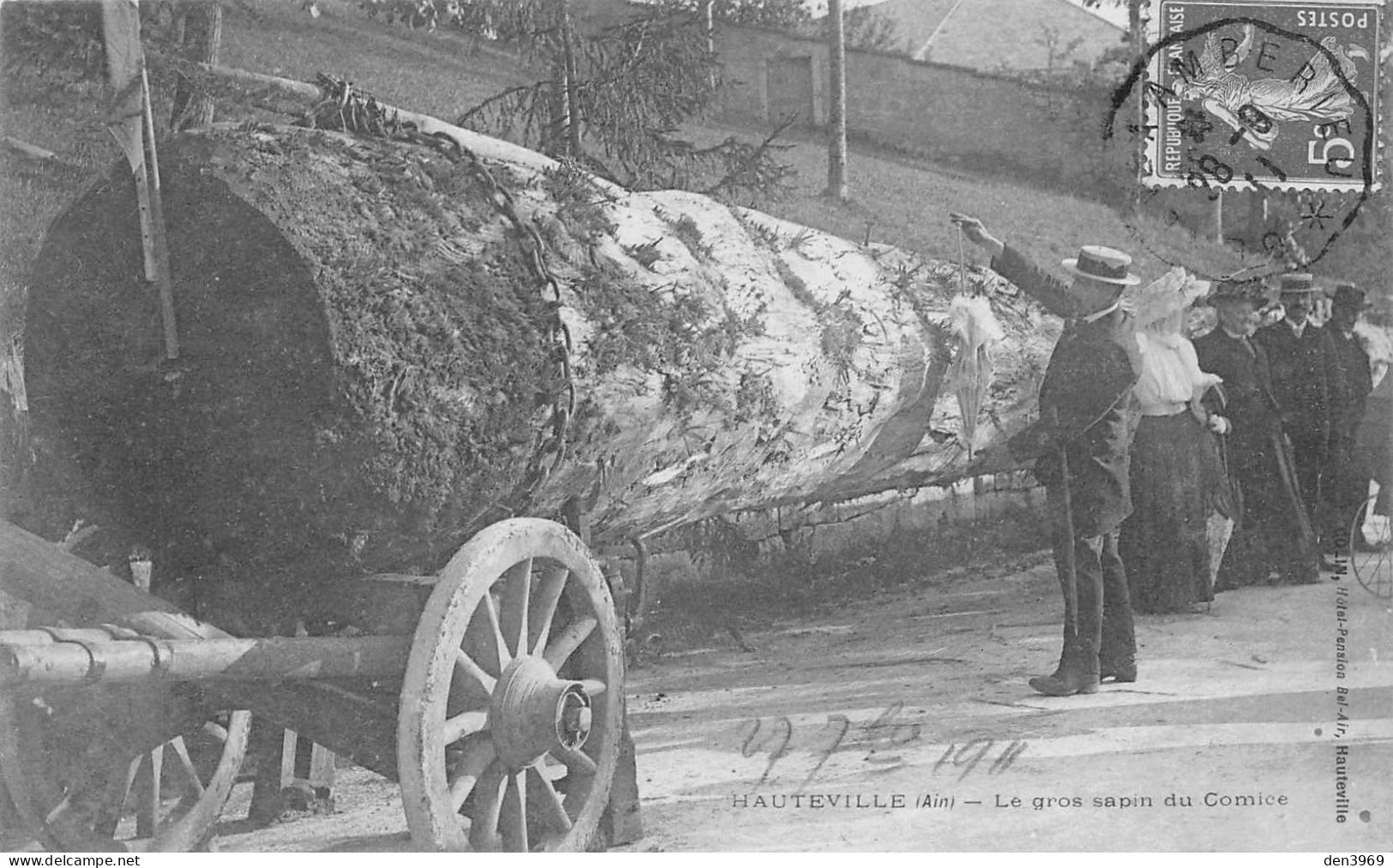 HAUTEVILLE (Ain) - Le Gros Sapin Du Comice - Voyagé 1911 (2 Scans) - Hauteville-Lompnes