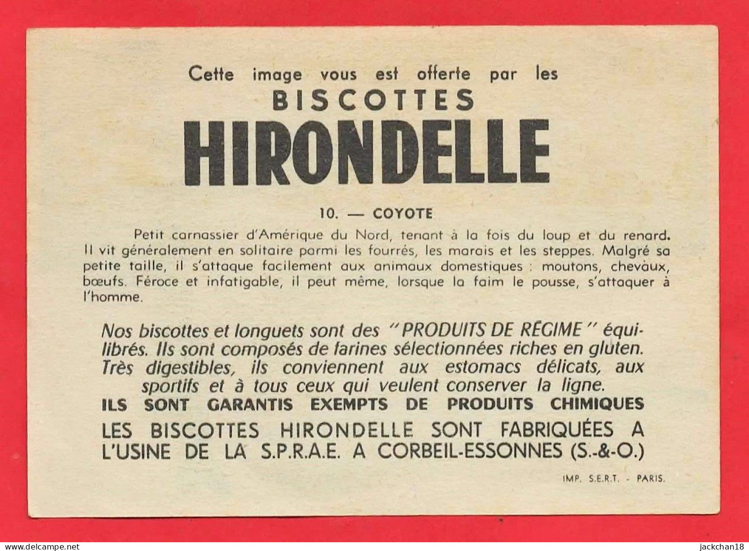 -- BISCOTTES HIRONDELLE / IMAGE N° 10  COYOTE  -- - Autres & Non Classés