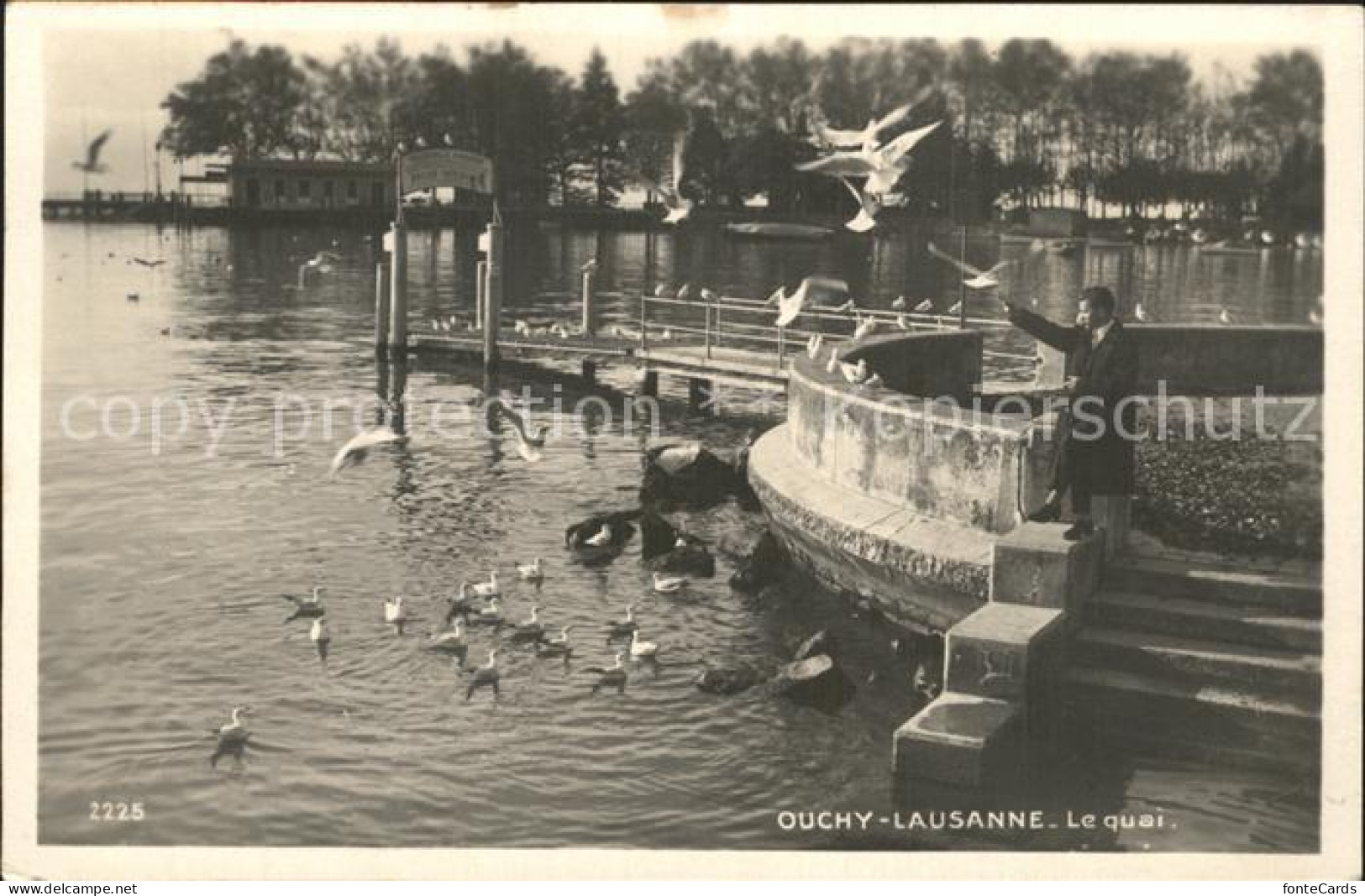 12318208 Ouchy Le Quai Hafen Steg Wasservoegel Ouchy - Sonstige & Ohne Zuordnung