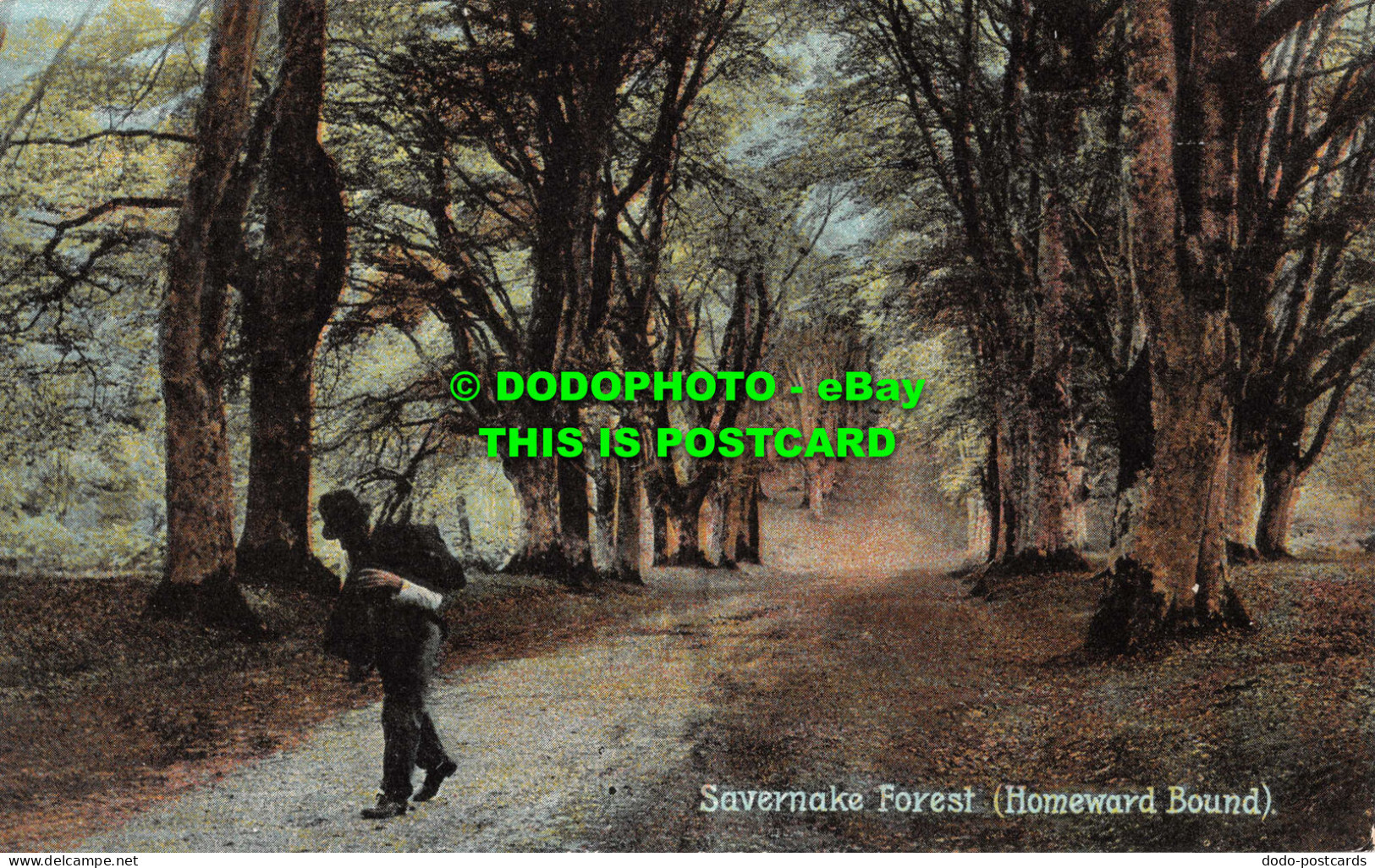 R551391 Savernake Forest. Homeward Bound. Shurey. This Beautiful Series Of Fine - Welt