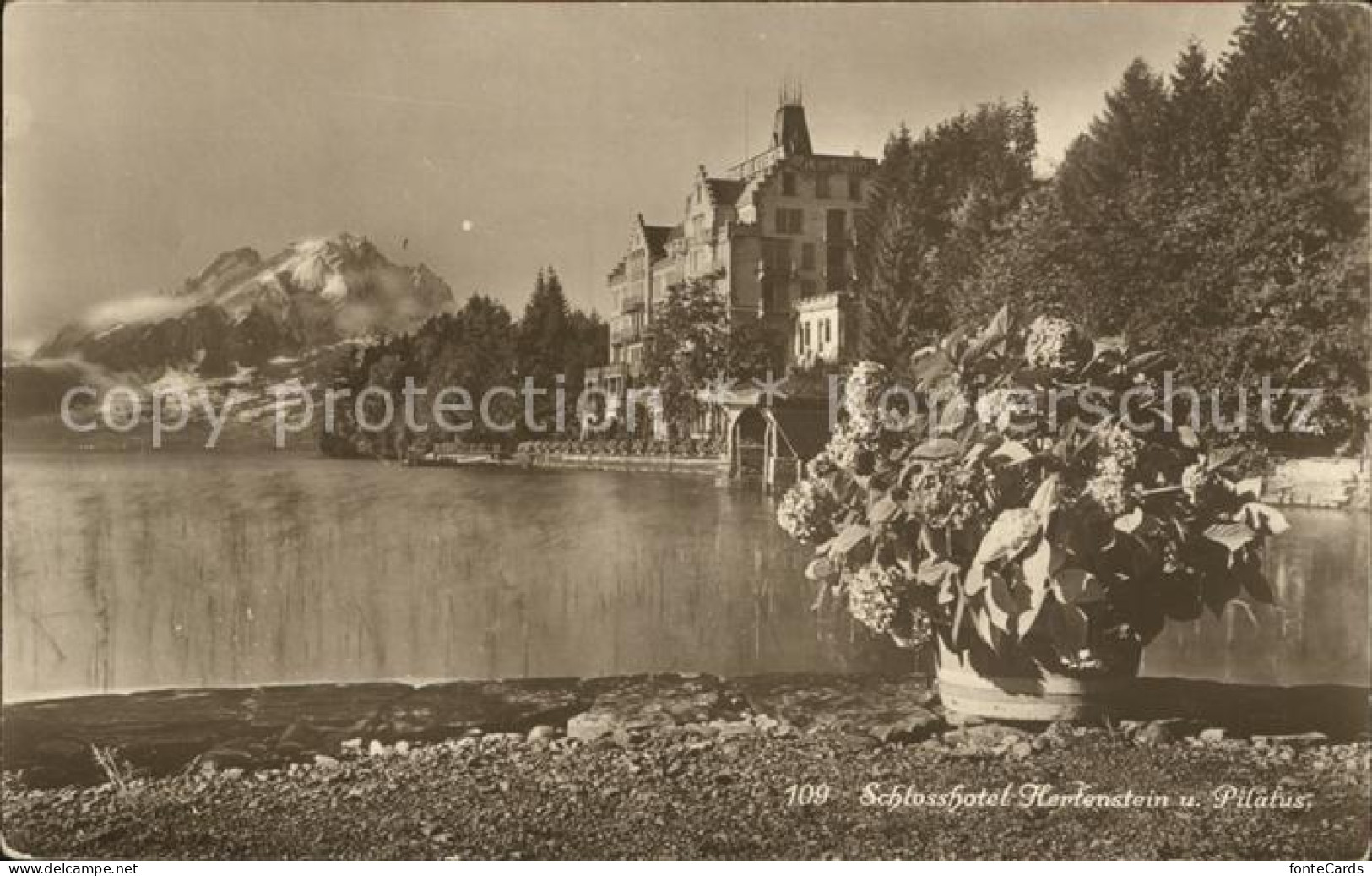 12318111 Hertenstein LU Schlosshotel Vierwaldstaettersee Pilatus Hertenstein - Andere & Zonder Classificatie