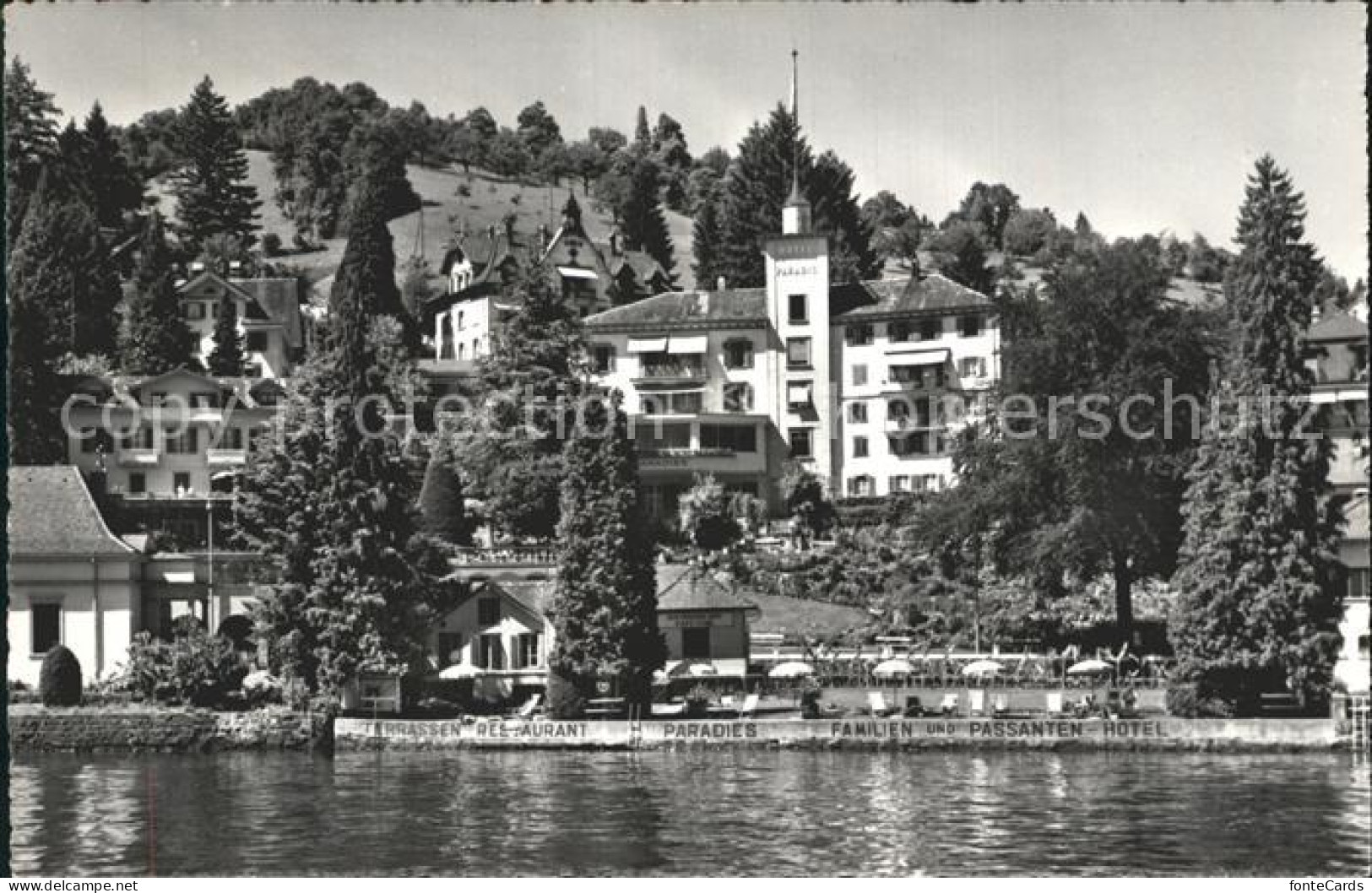 12318092 Weggis Vierwaldstaettersee Hotel Paradies Kurort Vierwaldstaettersee We - Andere & Zonder Classificatie