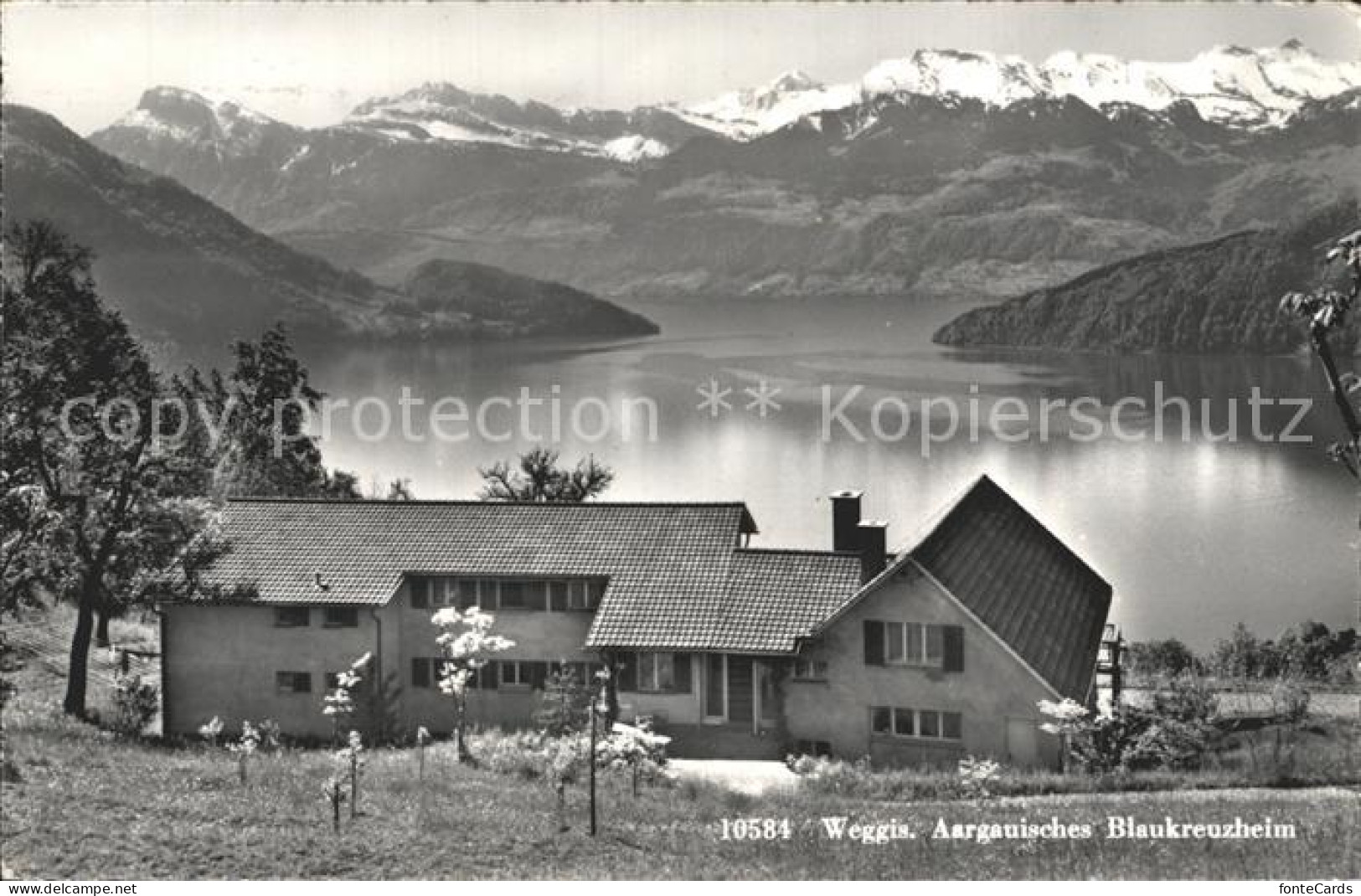 12318080 Weggis Vierwaldstaettersee Aargauisches Blaukreuzheim Alpenpanorama Weg - Andere & Zonder Classificatie