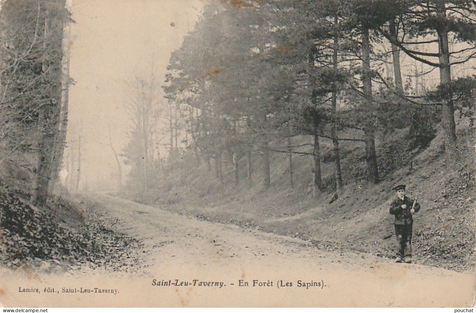 VE 20-(95) SAINT LEU TAVERNY - EN FORET ( LES SAPINS ) - ENFANT  - 2 SCANS - Sonstige & Ohne Zuordnung