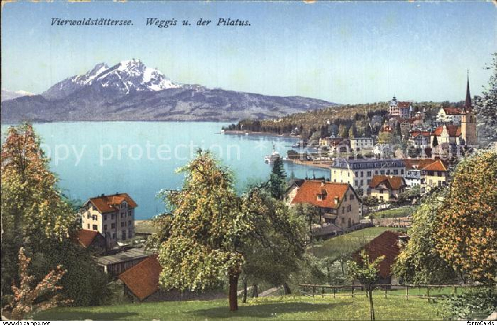 12318001 Weggis Vierwaldstaettersee Panorama Vierwaldstaettersee Pilatus Voralpe - Andere & Zonder Classificatie