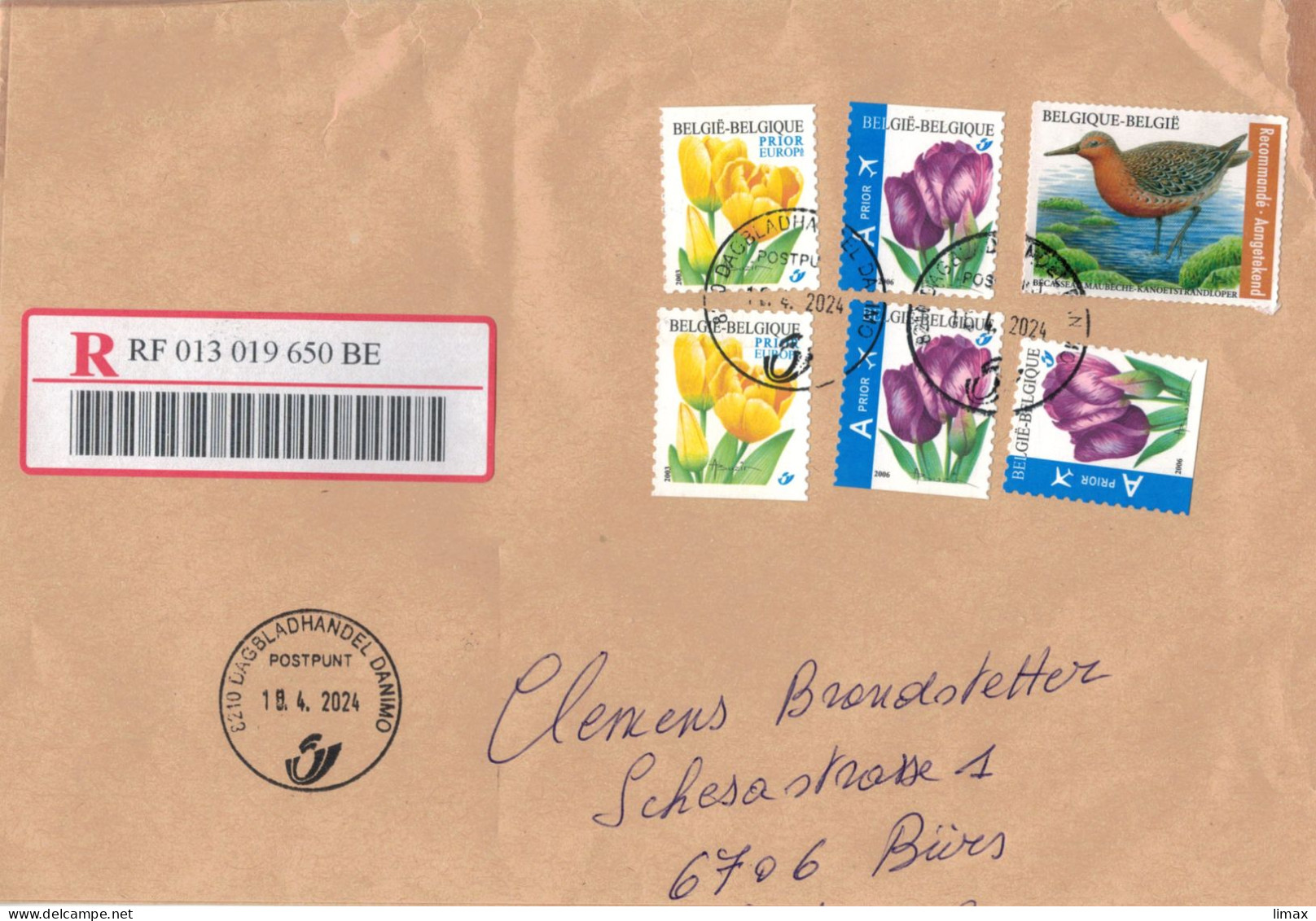 [A5] Reko 8210 Dagbladhandel Danimo 2024 Tulpen Prior A - Reko-Marke Bekassine Gallinago - !! 3 Seitig Geöffnet !! - Storia Postale