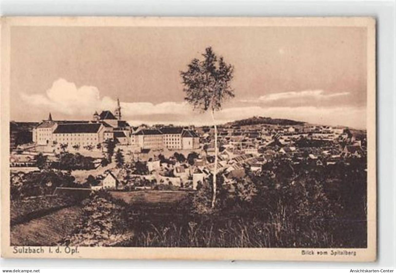 39118406 - Sulzbach.  Ein Blick Vom Spitalberg Auf Die Kirche Ungelaufen  Gute Erhaltung. - Amberg