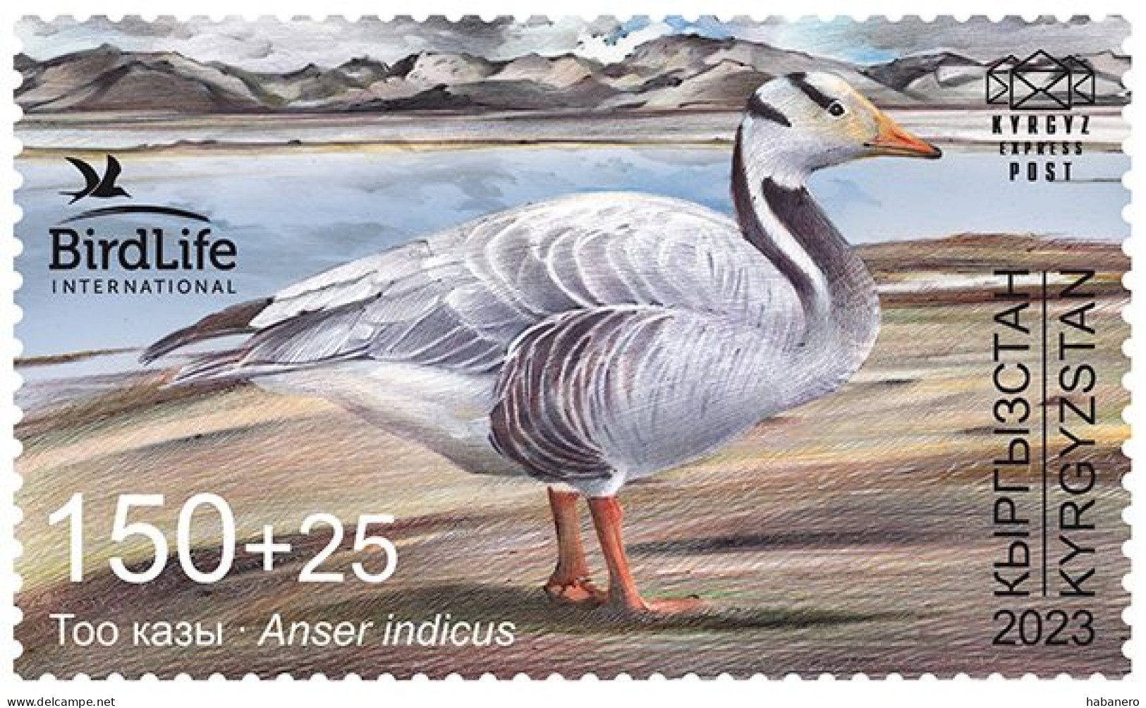 KYRGYZSTAN 2024 KEP 217 THE BAR-HEADED GOOSE MINT STAMP ** - Gansos