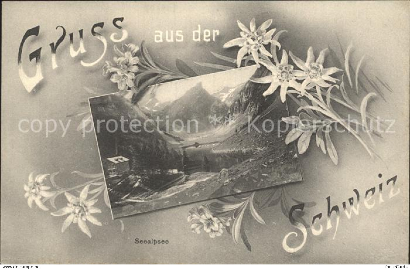 12317190 Seealpsee Gasthaus Appenzeller Alpen Blumen Seealpsee - Sonstige & Ohne Zuordnung