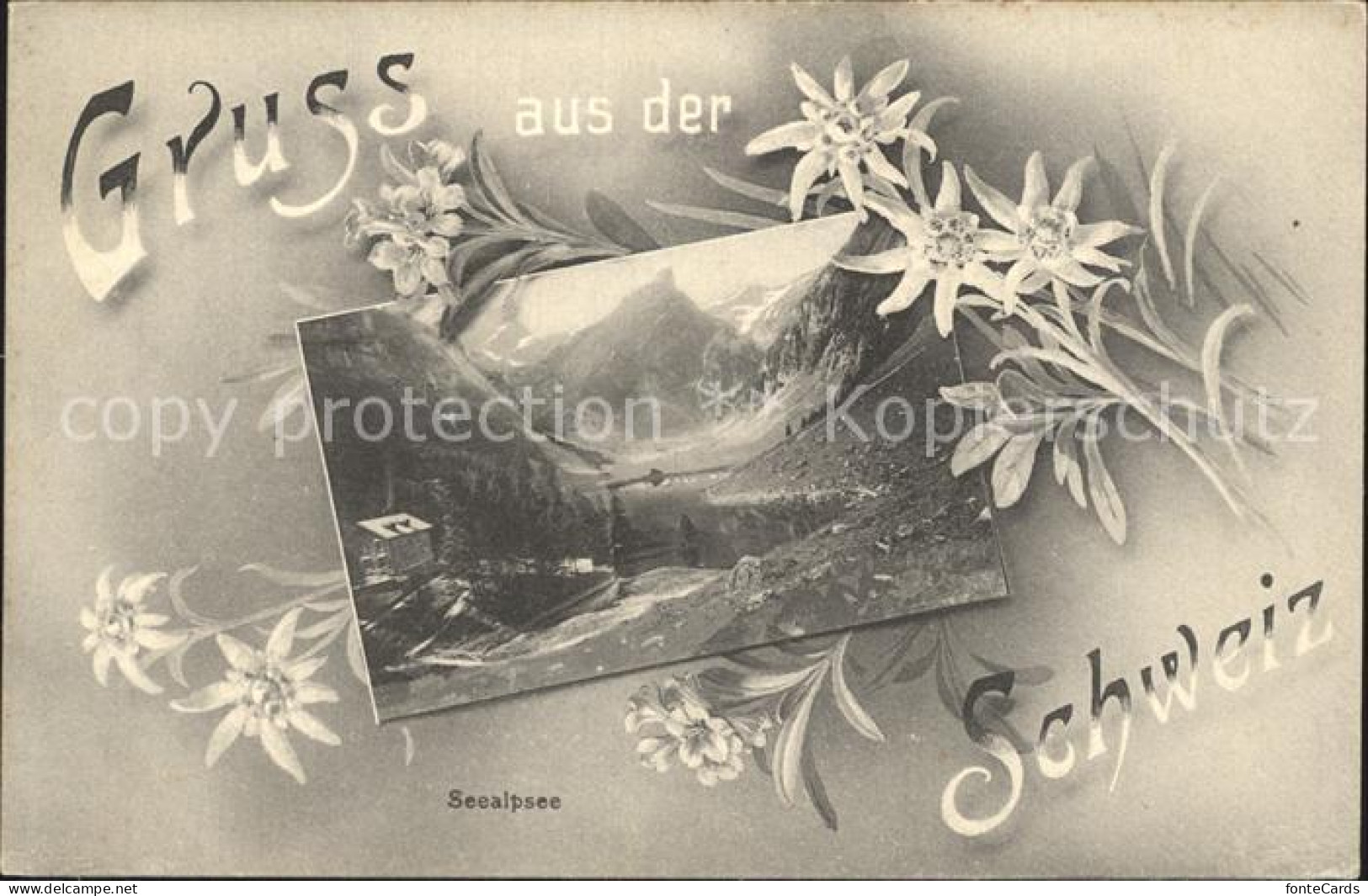 12317188 Seealpsee Gasthaus Appenzeller Alpen Blumen Seealpsee - Sonstige & Ohne Zuordnung