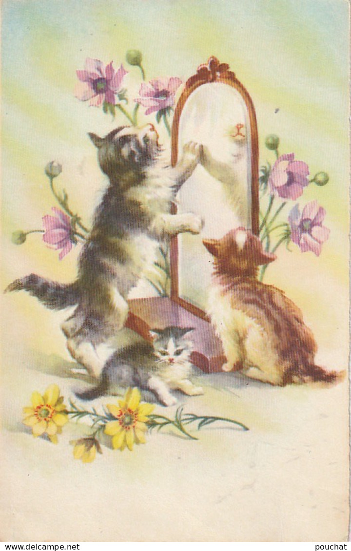 VE 26- TRIO DE CHATONS DEVANT MIROIR - FLEURS - ILLUSTRATEUR - 2 SCANS - Chats