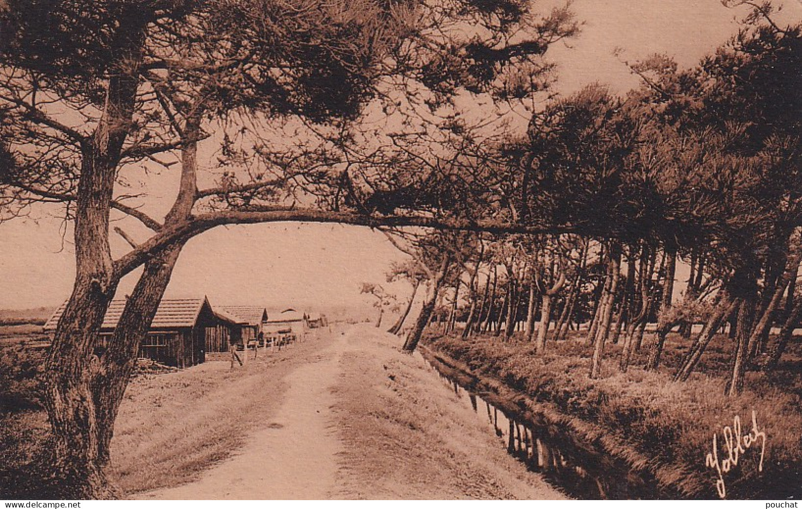 TE Nw28-(33) ARES - CABANES DE PECHEURS AU PORT DE LEGE - Arès