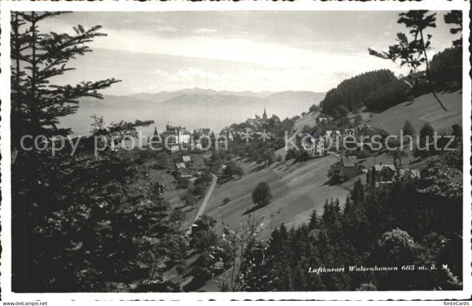 12316192 Walzenhausen AR Ansicht Vom Waldrand Aus Luftkurort Alpenblick Walzenha - Sonstige & Ohne Zuordnung