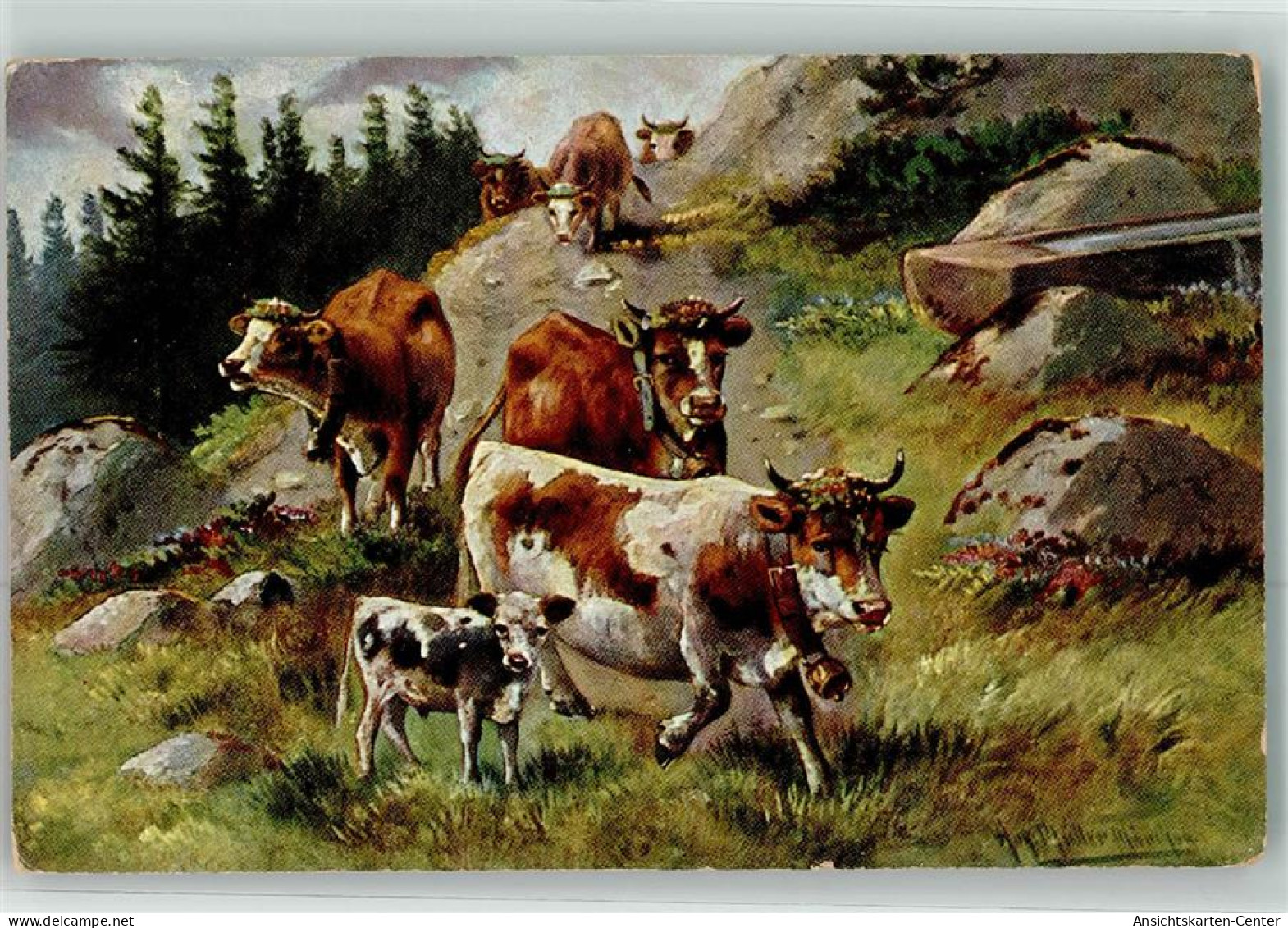 39424106 - Sign.Mueller Jun. HKM Serie 228 - Cows