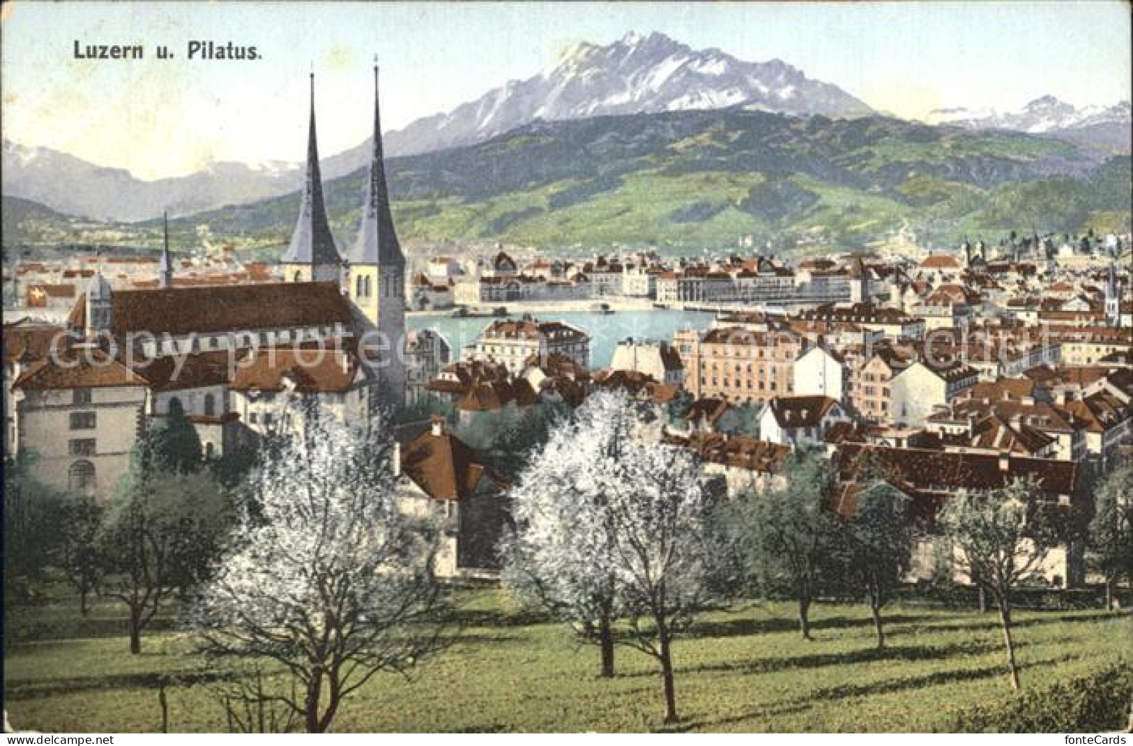 12316110 Luzern LU Stadtbild Mit Hofkirche Pilatus Voralpen Baumbluete Luzern - Sonstige & Ohne Zuordnung
