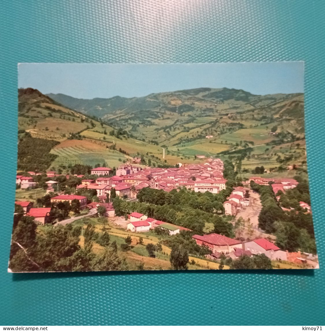 Cartolina San Pietro In Bagno M. 460 - Panorama. Viaggiata 1972 - Forli