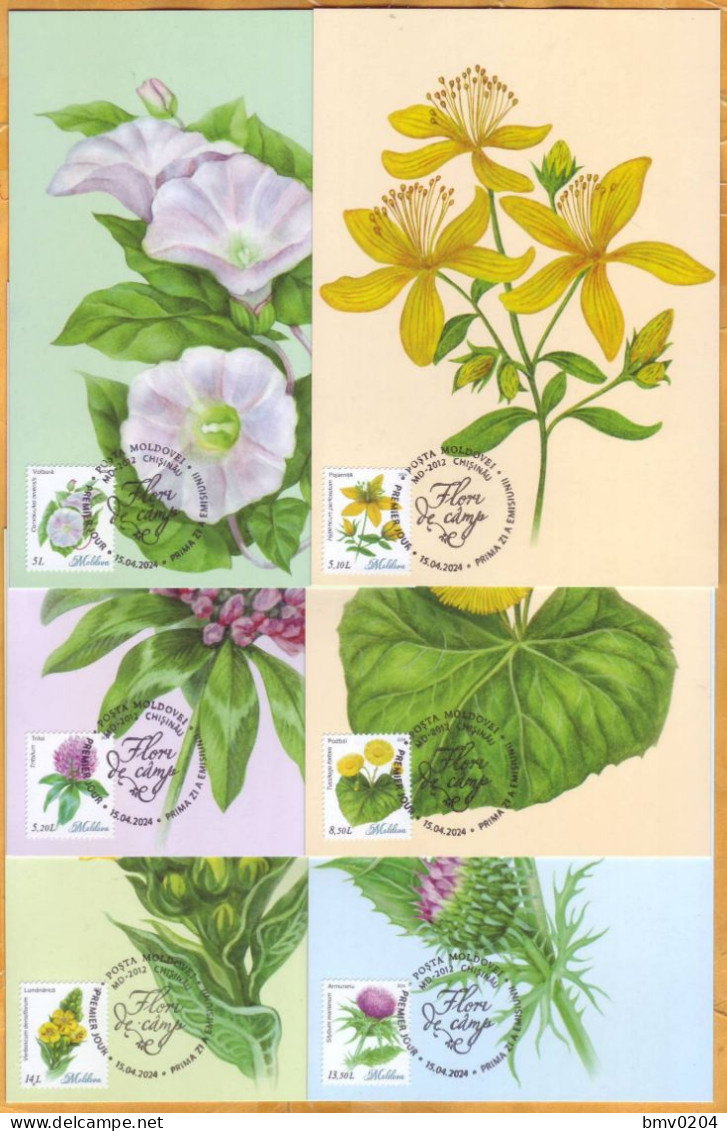 2024 Moldova MAXICARD  Wild Flowers, Flora, Nature 6 - Moldavie