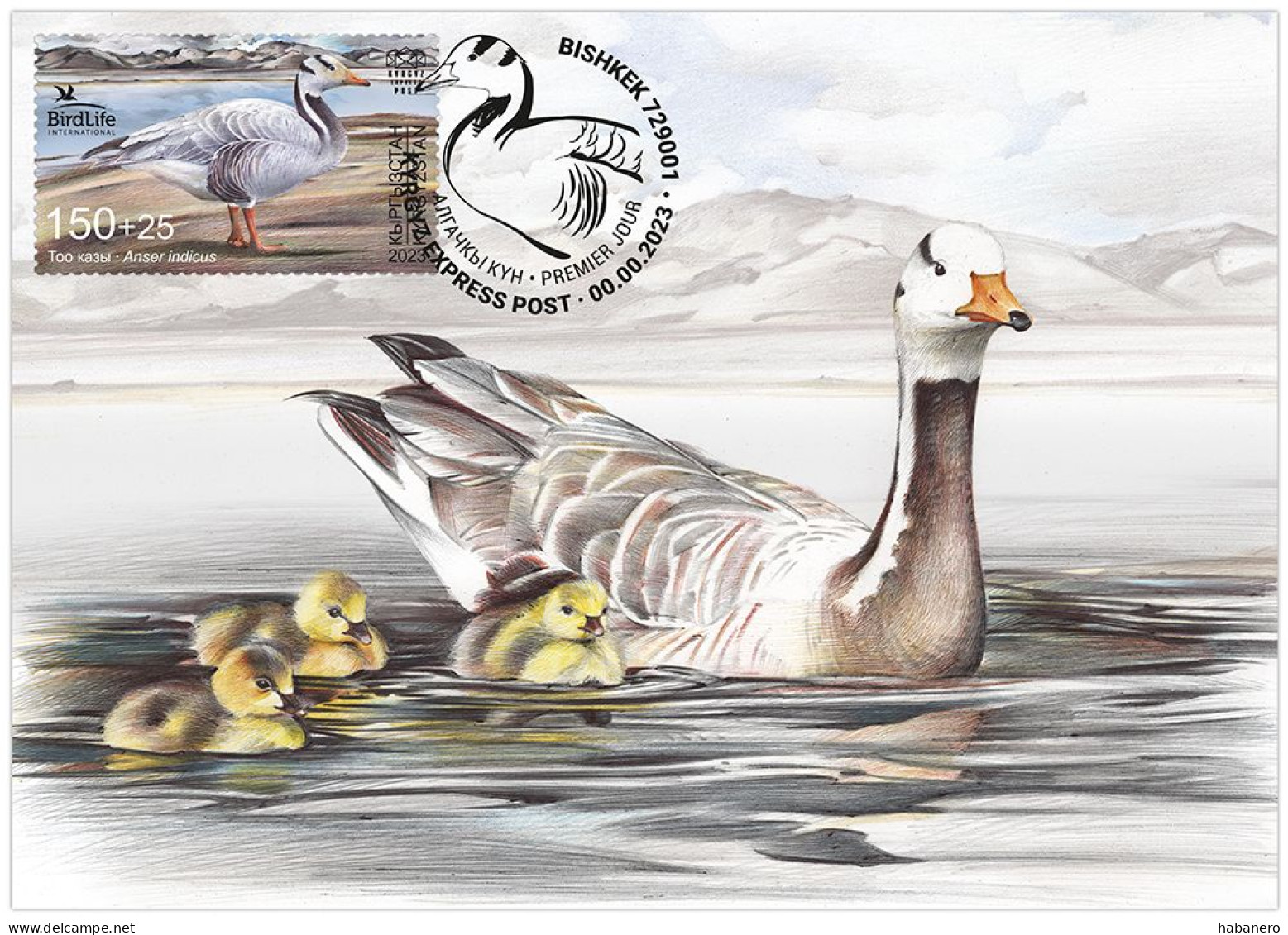 KYRGYZSTAN 2024 KEP 217 THE BAR-HEADED GOOSE MAXIMUM CARD - Oies