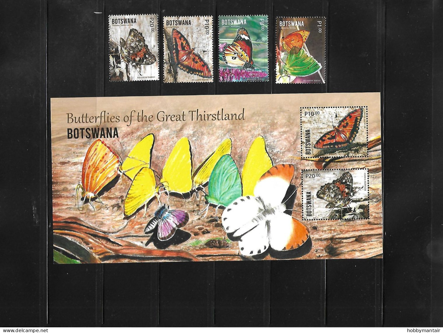 BOTSWANA, 2024, BUTTERFLIES  4 V+ S/S. MNH** NEW!! - Butterflies