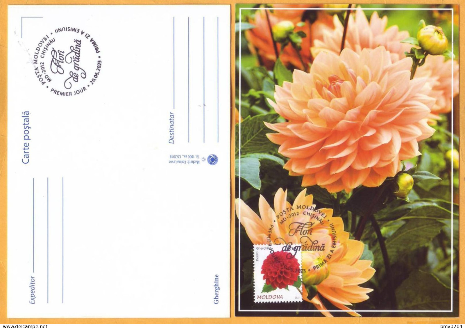 2023  Moldova  MAXICARD  „Flora. Garden Flowers.”   Dahlia, - Moldawien (Moldau)