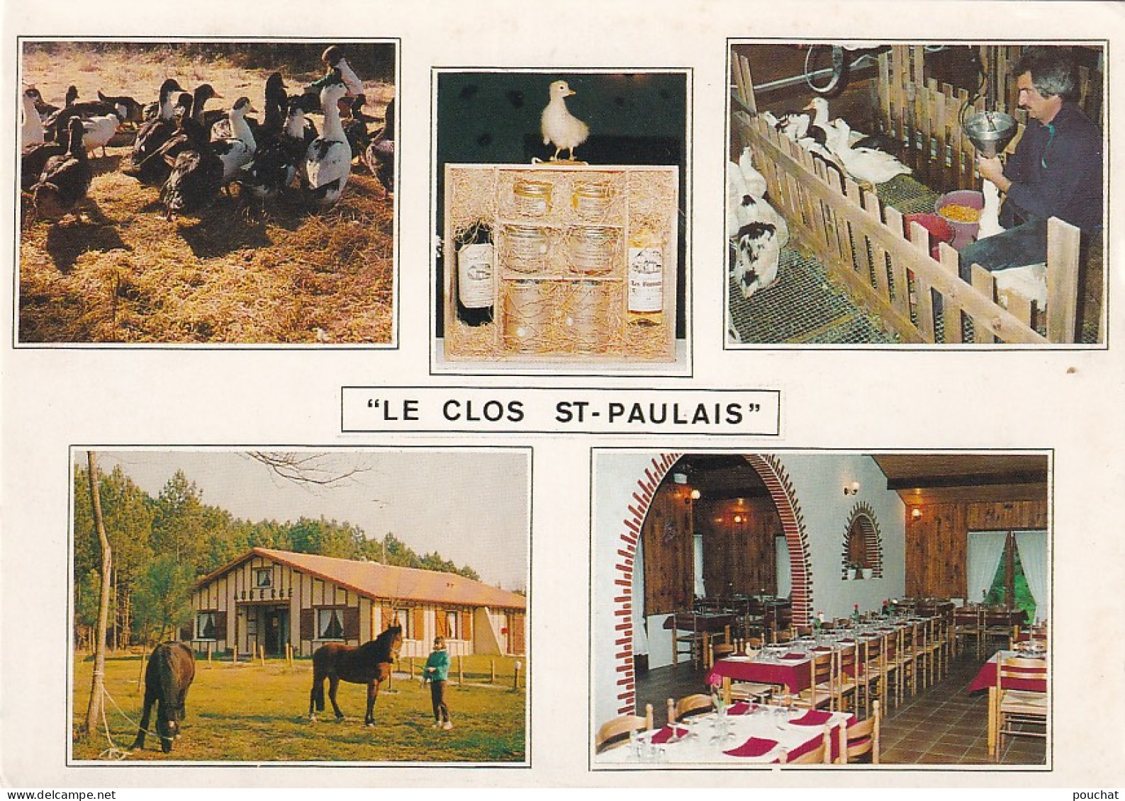 UR Nw35-(40) SAINT PAUL EN BORN - LE CLOS ST PAULAIS - CARTE MULTIVUES : ELEVAGE , GAVAGE , CONSERVERIE - Other & Unclassified