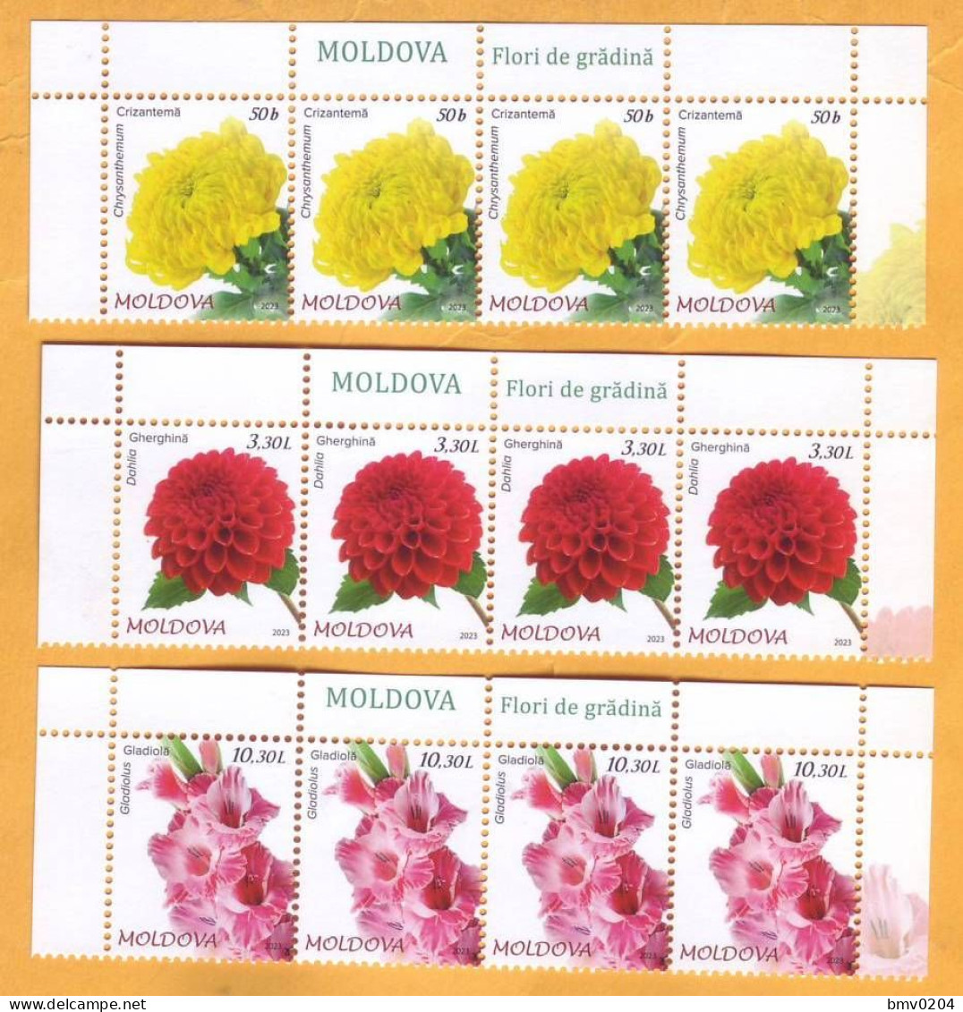 2023  Moldova   „Flora. Garden Flowers.”   Chrysanthemum, Dahlia, Gladiolus  4х3v Mint - Moldova