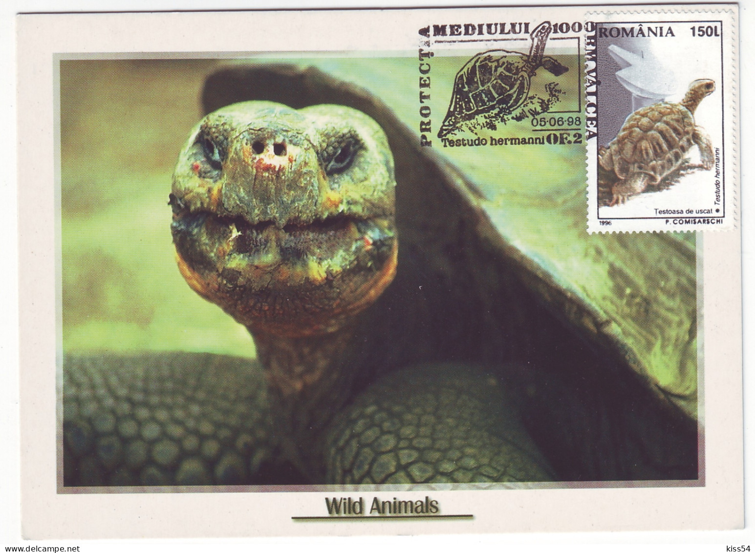 MAX 60 - 180 TURTLE, Romania - Maximum Card - 1998 - Maximum Cards & Covers