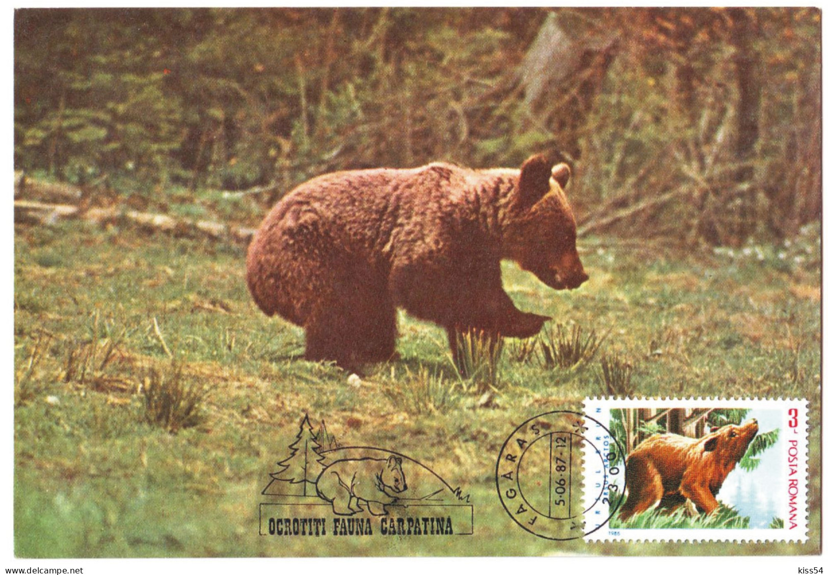 MAX 60 - 313 BEAR, Romania - Maximum Card - 1987 - Cartes-maximum (CM)
