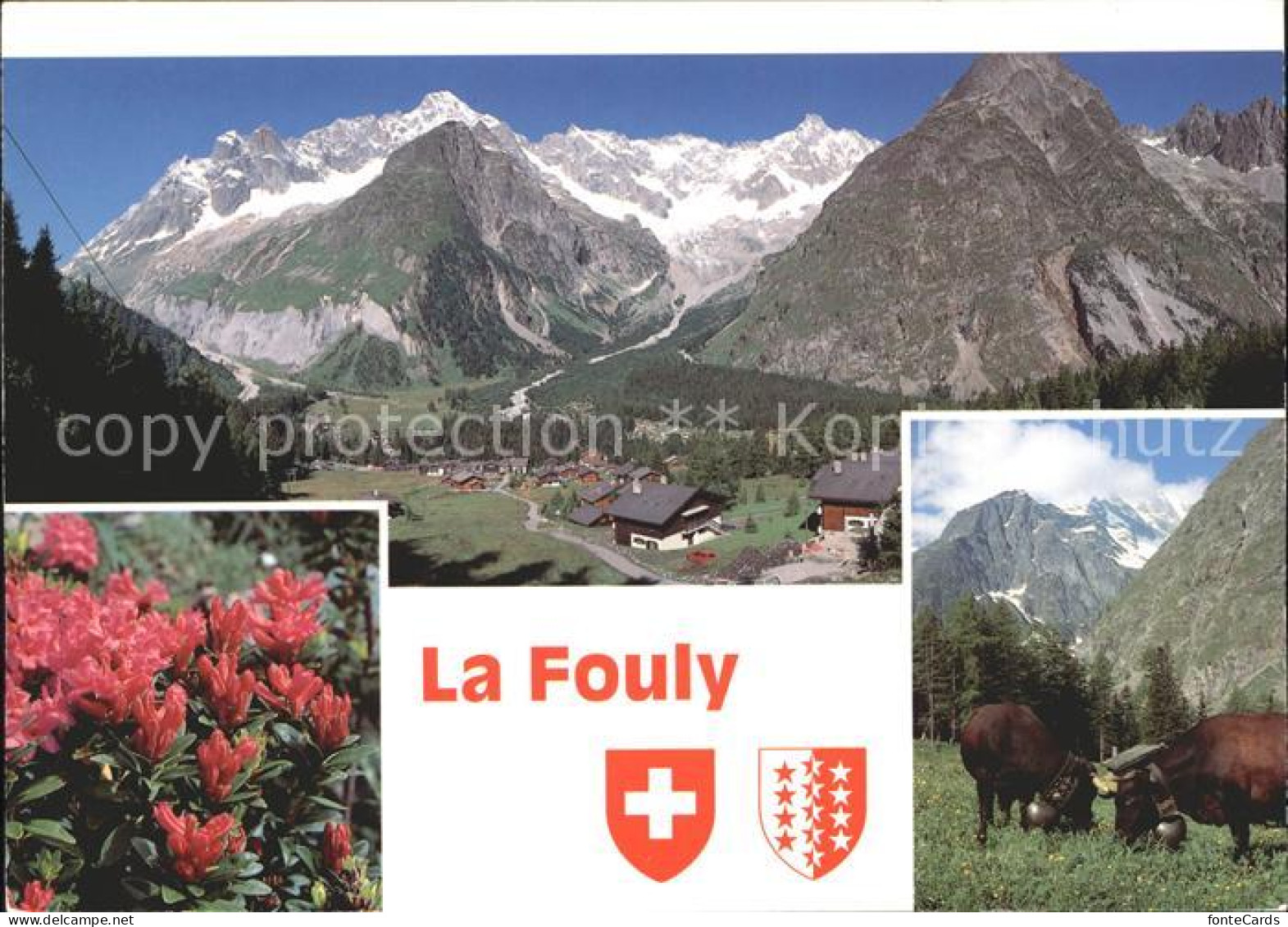 12314203 La Fouly Village Avec Le Dolent Et Le Tour Noir Alpenflora Kuehe La Fou - Other & Unclassified