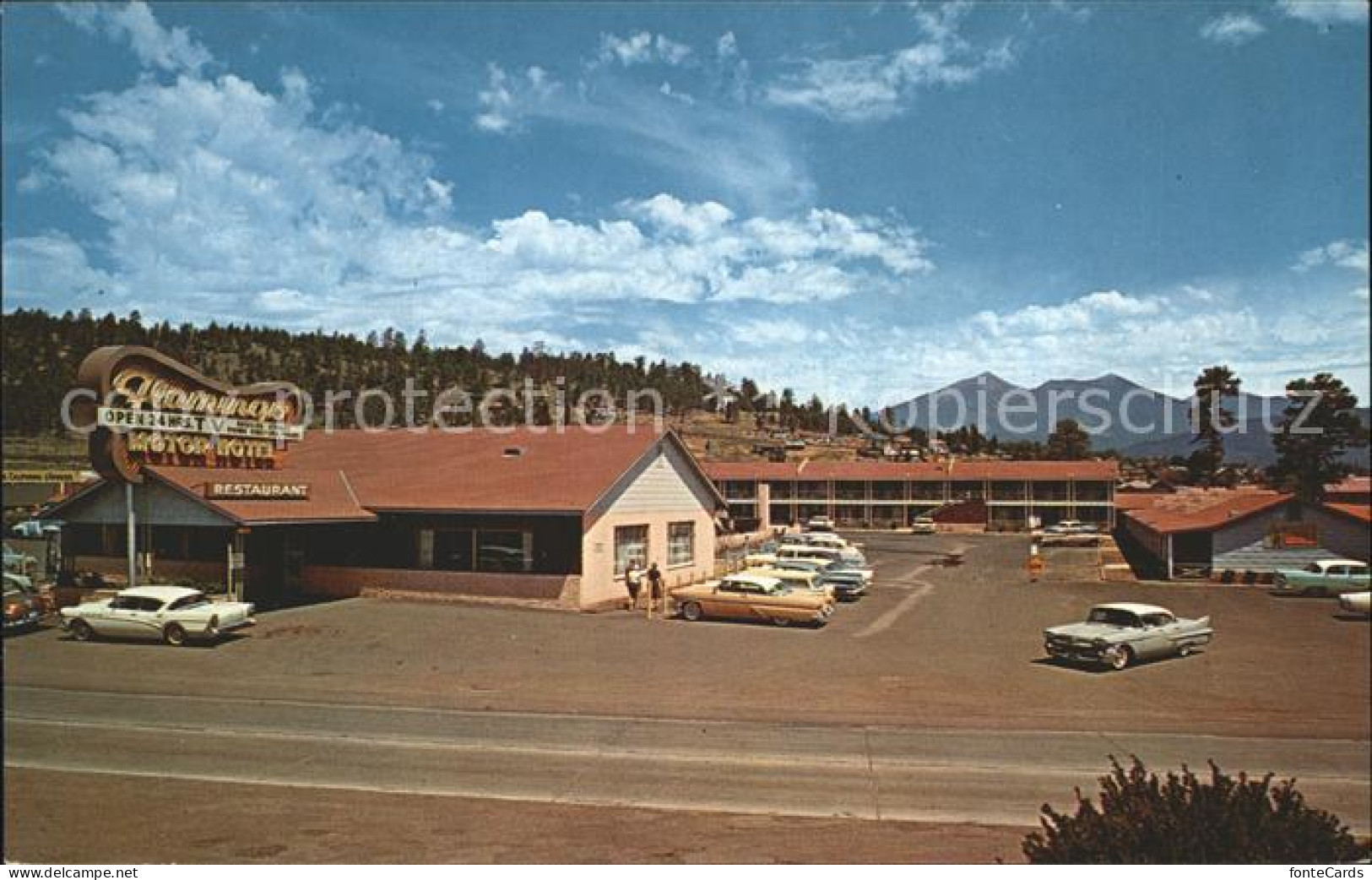 12313216 Flagstaff Arizona Flamingo A Ramada Inn Flagstaff - Sonstige & Ohne Zuordnung