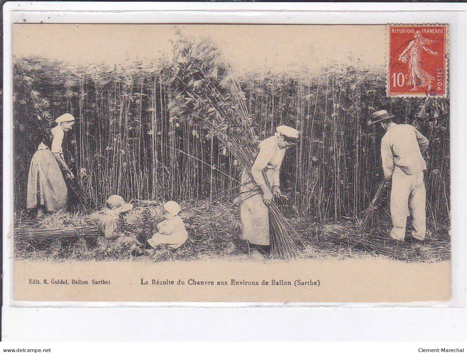 Environs De BALLON: La Récolte Du Chanvre - état - Autres & Non Classés