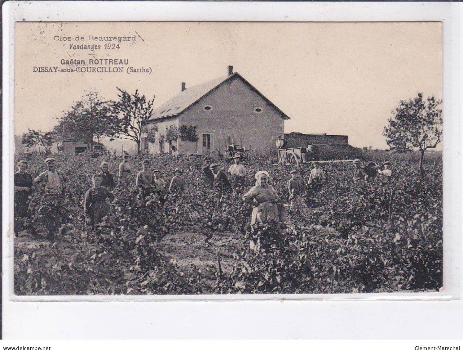 DISSAY-sous-COURCILLON: Gaëtan Rottreau, Vendanges 1924 - Très Bon état - Autres & Non Classés