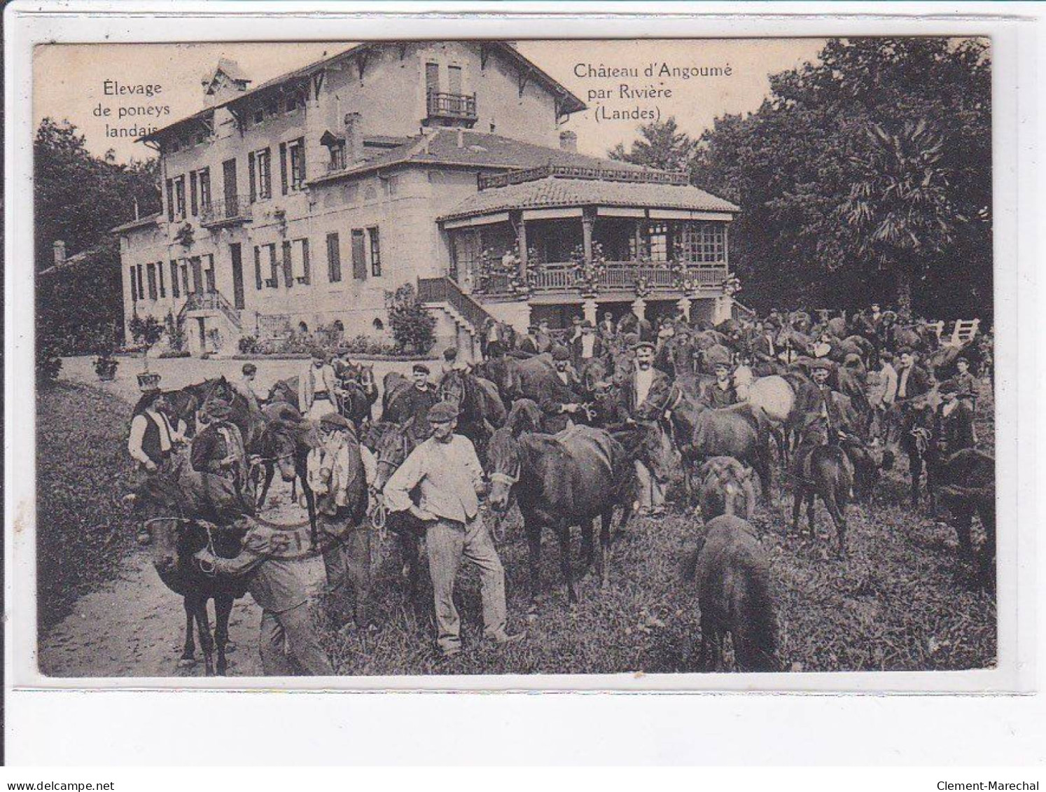 ANGOUME: Château, élevage De Poneys Landais - Très Bon état - Other & Unclassified