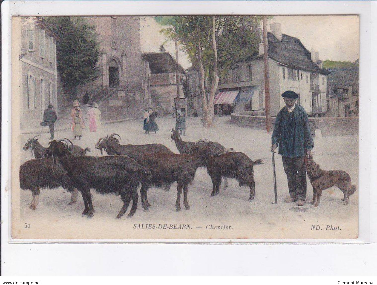 SALIES-de-BEARN: Chevrier, Rare En Couleur - Très Bon état - Salies De Bearn