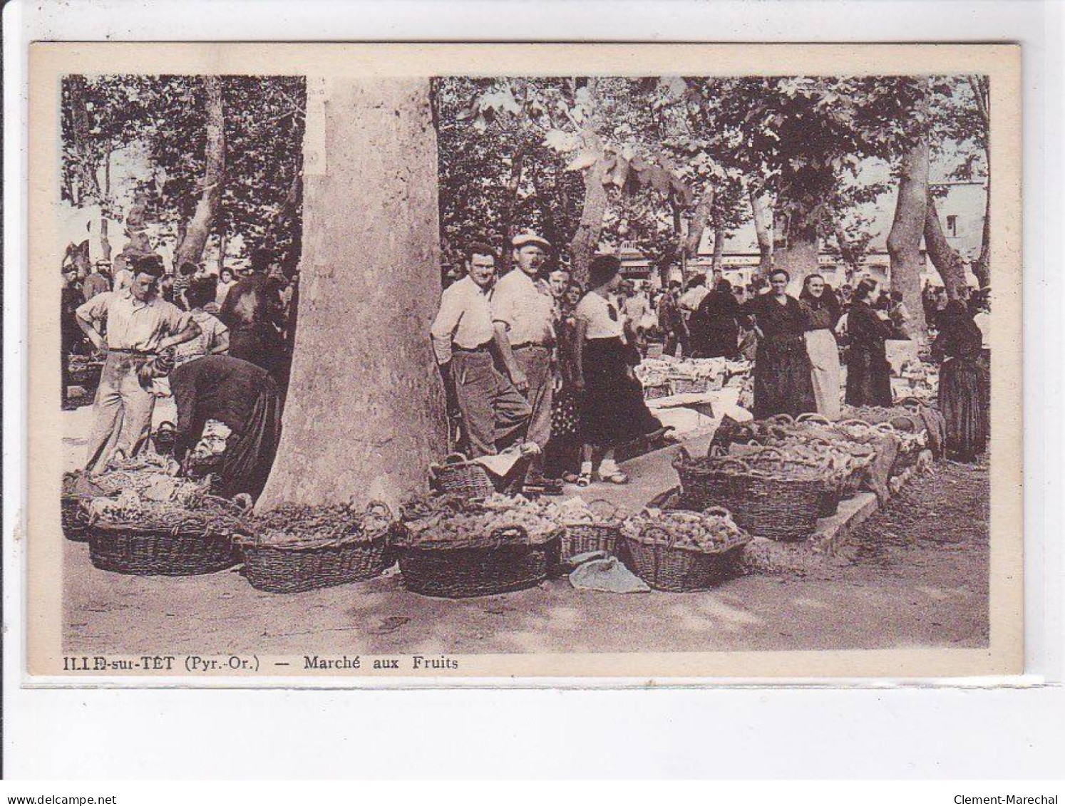 ILE-sur-TET: Marché Aux Fruits - Très Bon état - Autres & Non Classés