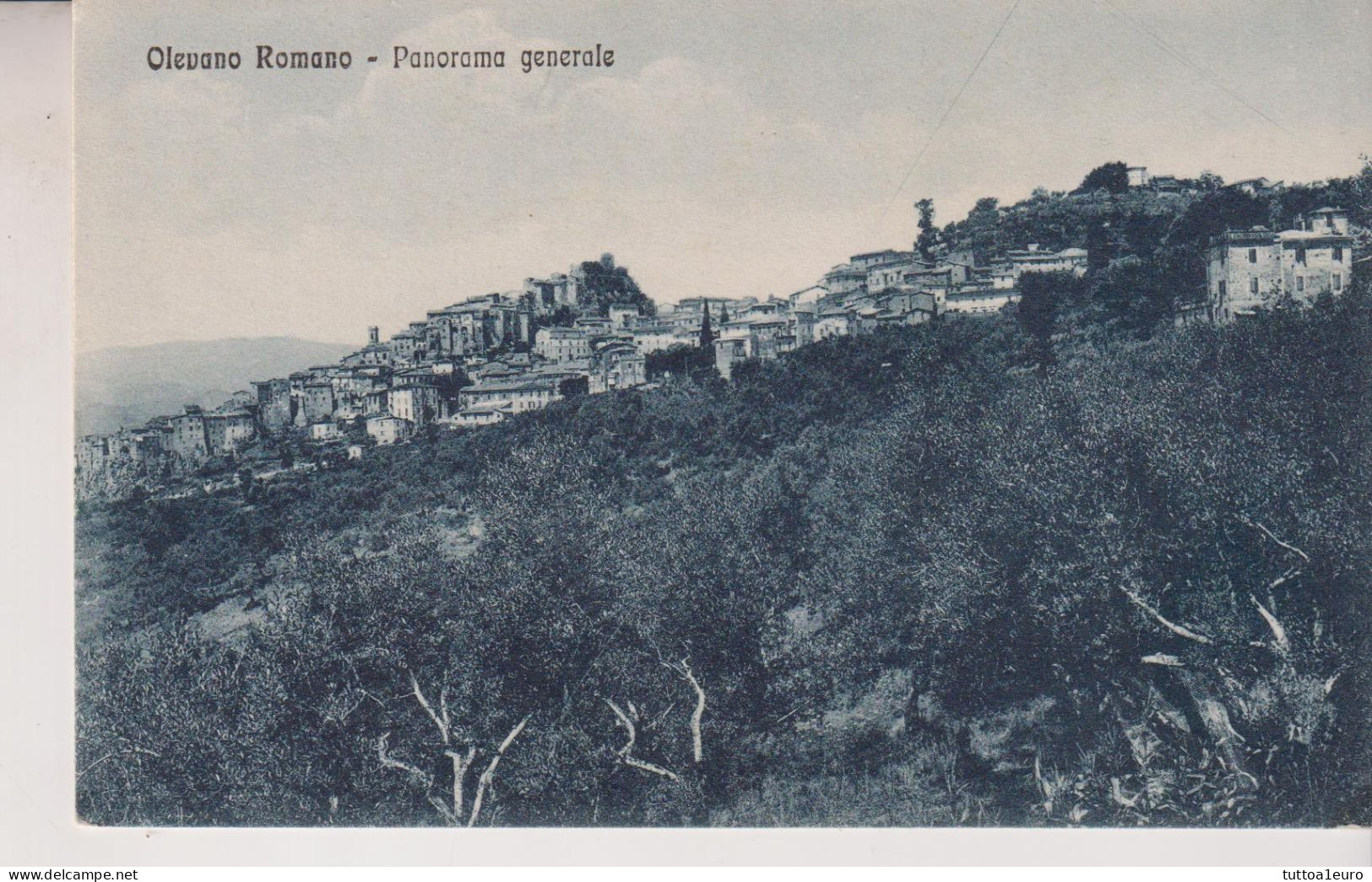 OLEVANO ROMANO  ROMA PANORAMA GENERALE  NO VG - Other & Unclassified