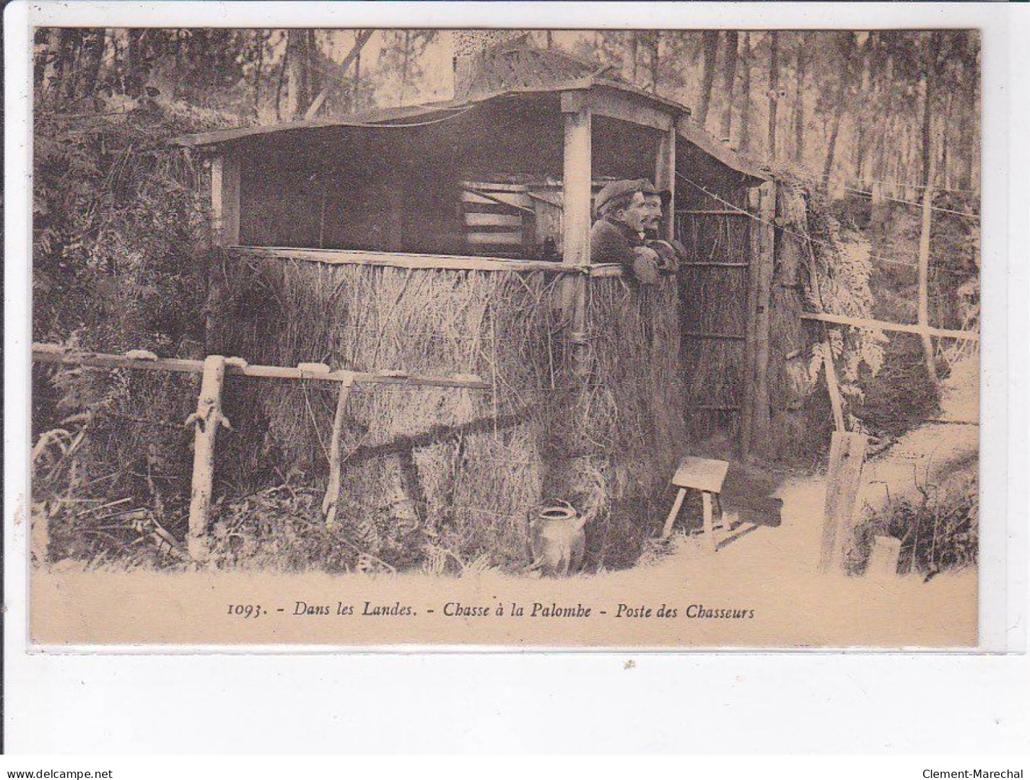 LANDES: Chasse à La Palombe, Poste Des Chasseurs - état - Other & Unclassified